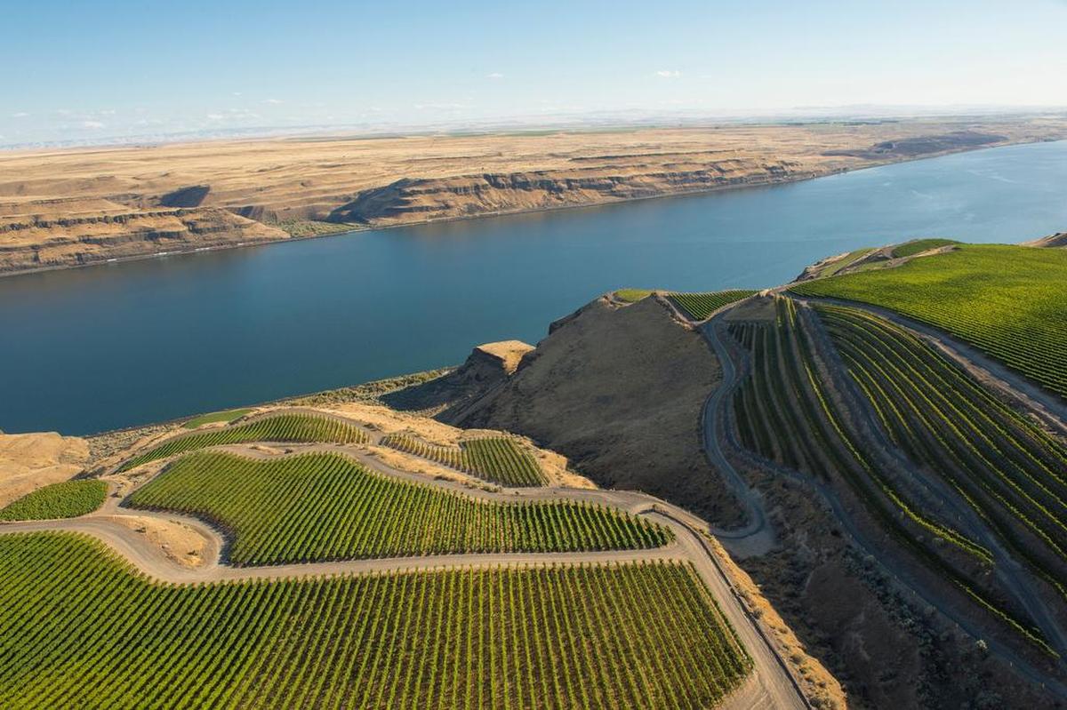 Wine grapes and other high value crops grown in the Horse Heaven Hills could benefit from a reservoir at Switzler Canyon in southern Benton County. The public is invited to comment on potential impacts as Washington Department of Ecology and Benton and Klickitat counties prepare to conduct an environmental impact statement. Above, an aerial view of The Benches Vineyards in the Horse Heaven Hills AVA.