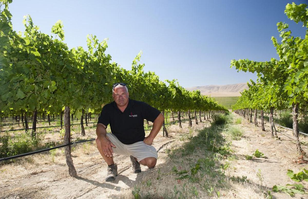 Tom Merkle of Four Feathers Wine Estates, which oversees three vineyards in Washington’s new Beverly AVA.