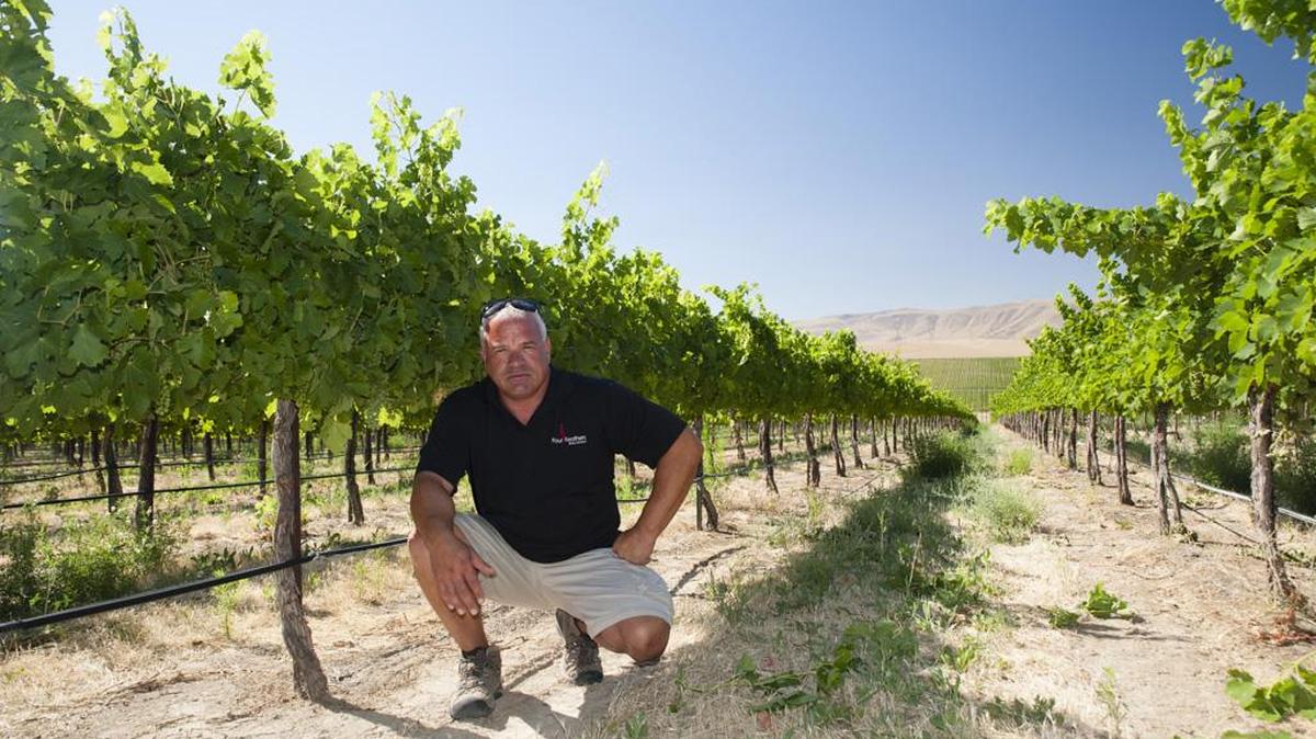 Tom Merkle of Four Feathers Wine Estates ranks among the top vineyard managers in Washington state.