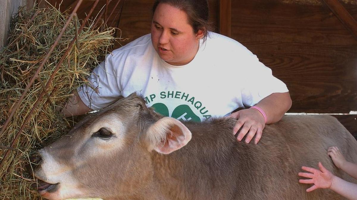 There are three levels of 4-H volunteers.