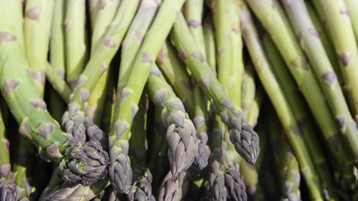WSU EXTENSION Q&A: What’s the best way to freeze fresh asparagus?