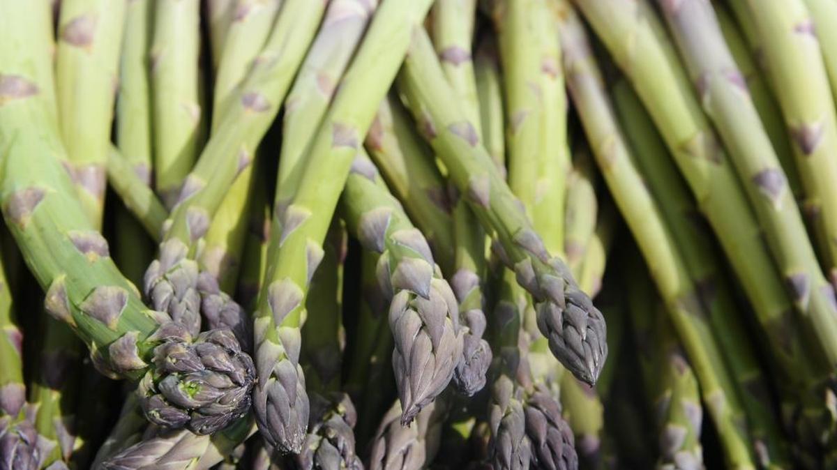 Prepare asparagus by washing thoroughly and sorting into size by thickness. Snap-off or trim at least a half inch from the bottom of each spear — where the stem begins to toughen.