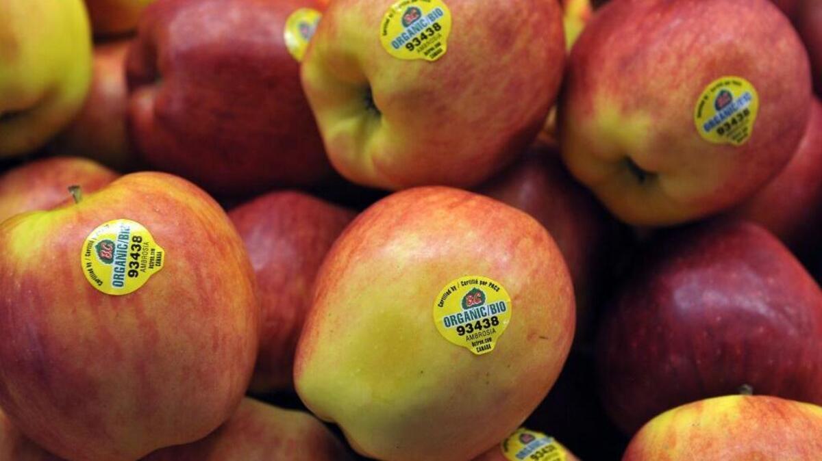 
Apples produce a natural wax coating, but an additional food-grade wax is sometimes applied, because it increases the shelf life of the fruit. 
