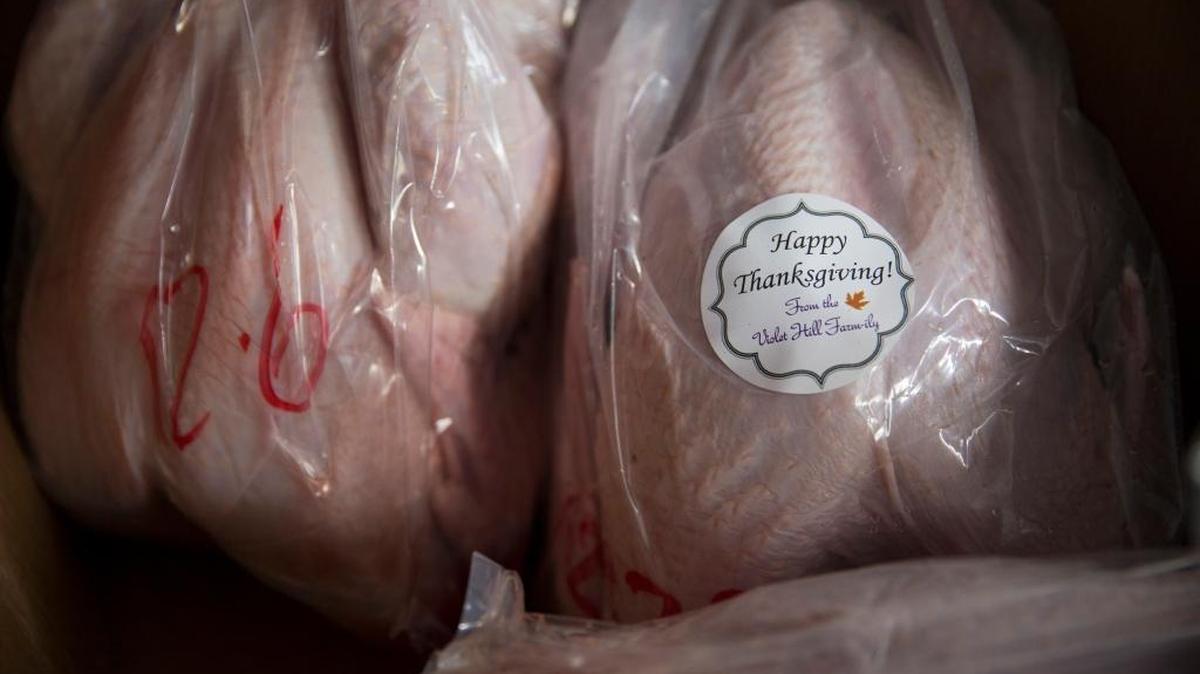 The recommendation for how large of a turkey to buy is 1 pound per person to 1 1/2 pounds per person.