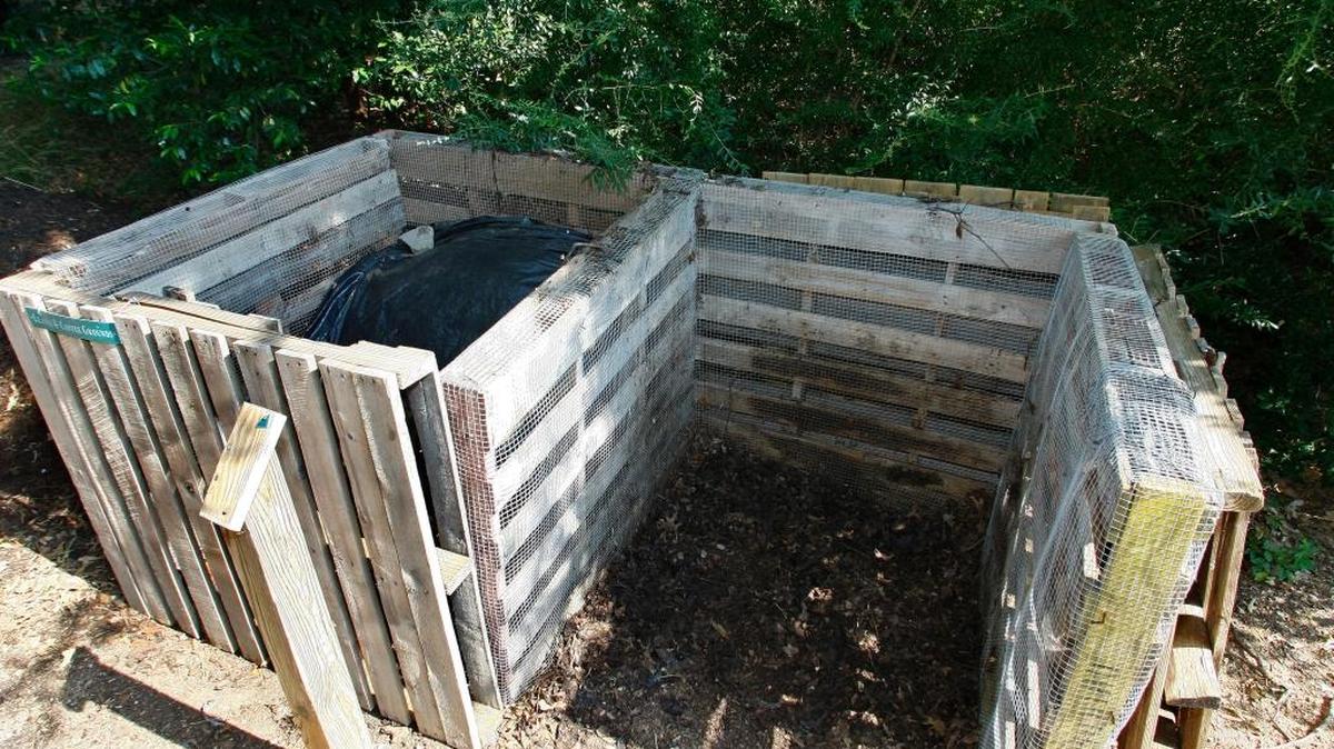 
Chopping oak, walnut, sycamore leaves and pine needles in a shredder or mover before adding them to a compost will make them break down quicker.
