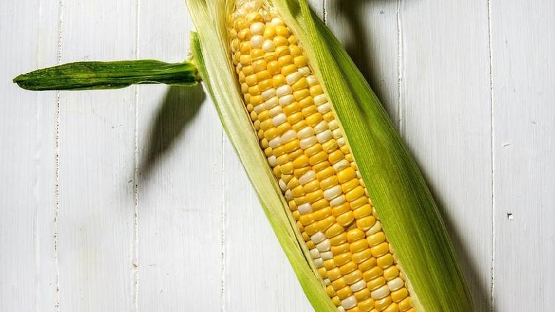 WSU Extension Q&A: When can you start planting sweet corn?