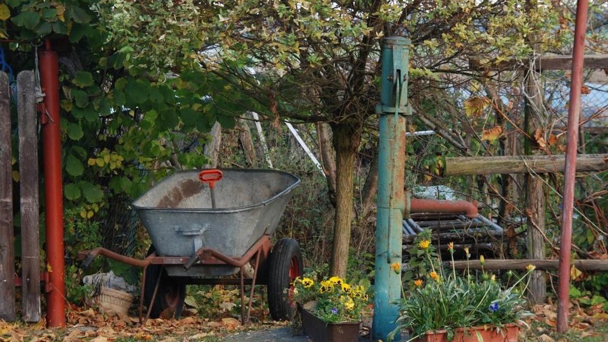 Fall garden chores cannot be put off if you want to beat the bad weather that often accompanies November.