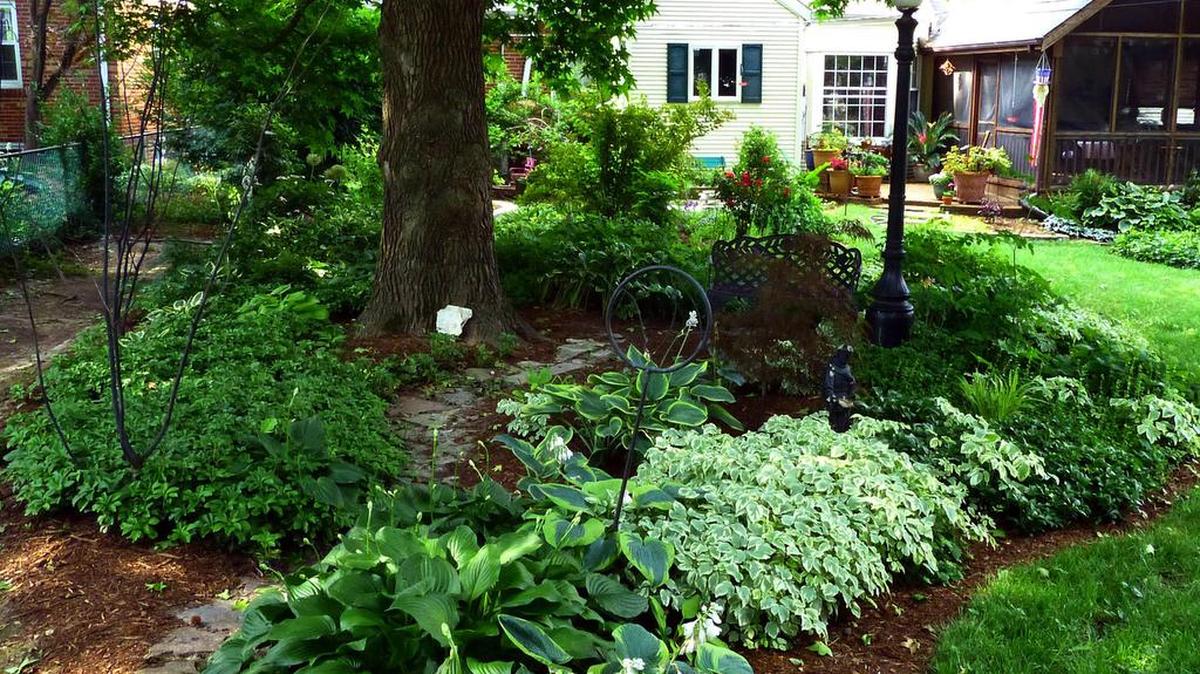 A swath of the slow-spreading evergreen groundcover pachysandra can be seen at left. Low-growing groundcovers such as pachysandra can be used to replace lawn in places where grass struggles.