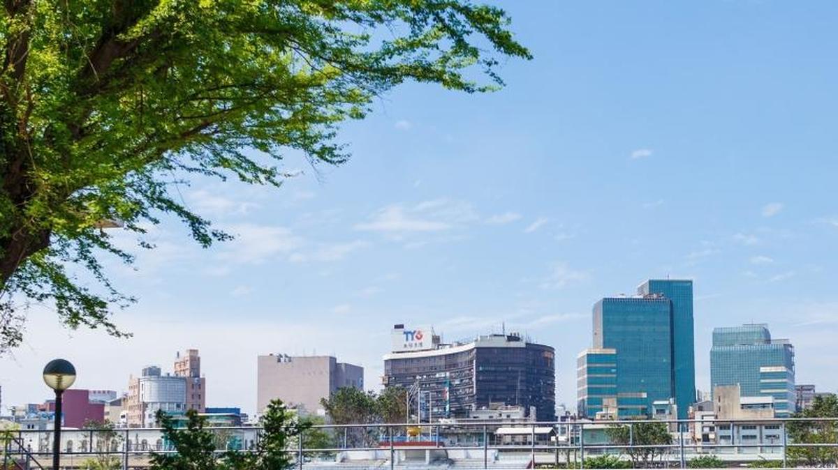 Trees provide a great deal of value to communities — beauty, shade, quality of life. Computer software called i-Tree allows cities to now place a monetary value on their trees.