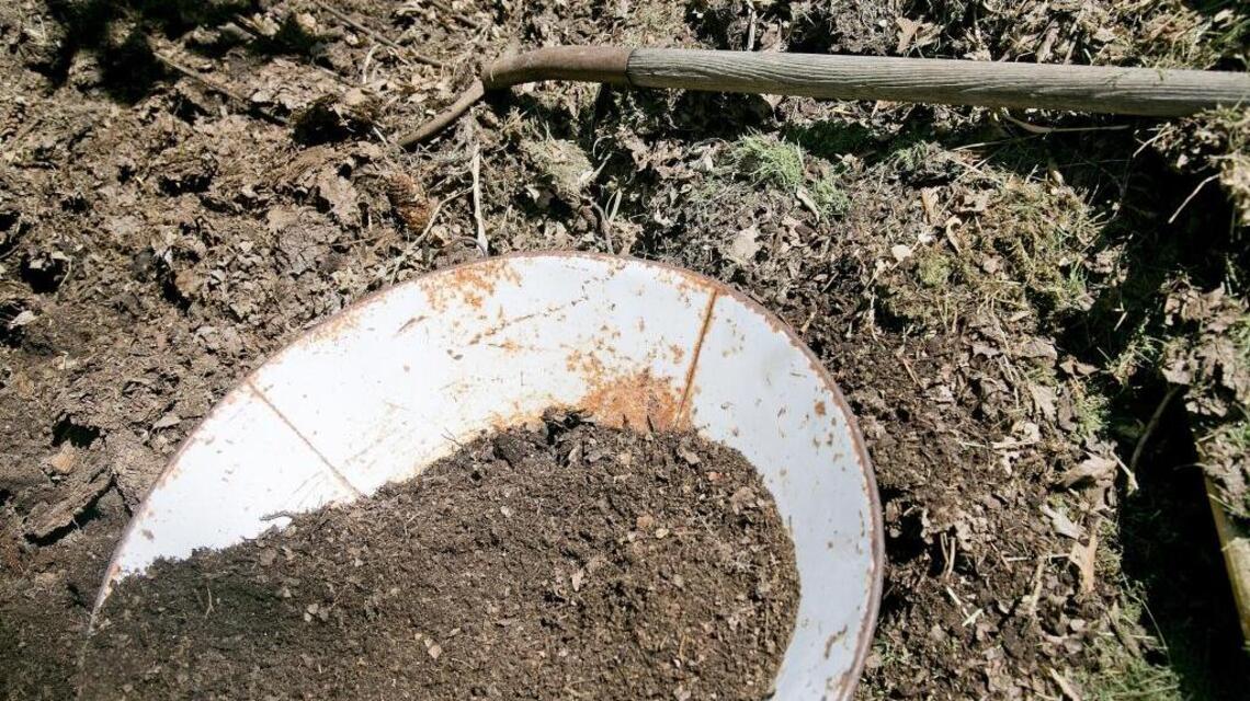 Garden Tips: Compost can be a garden’s downfall