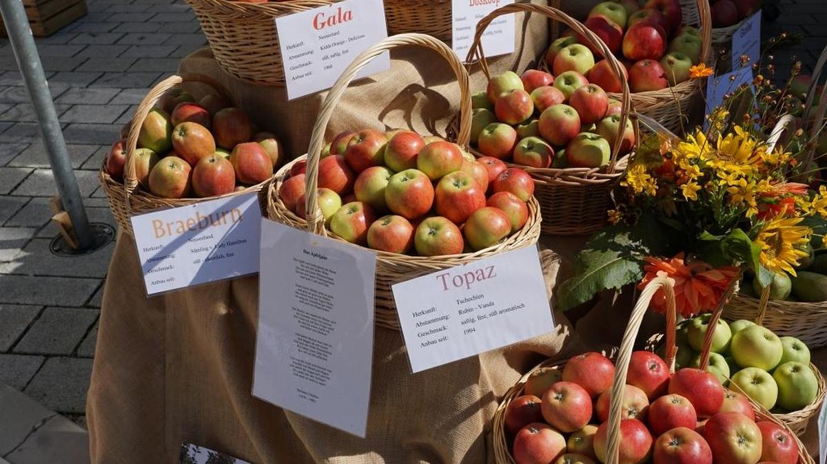 Washington produces 5 billions pounds of apples each year, most of which come from eight varieties.