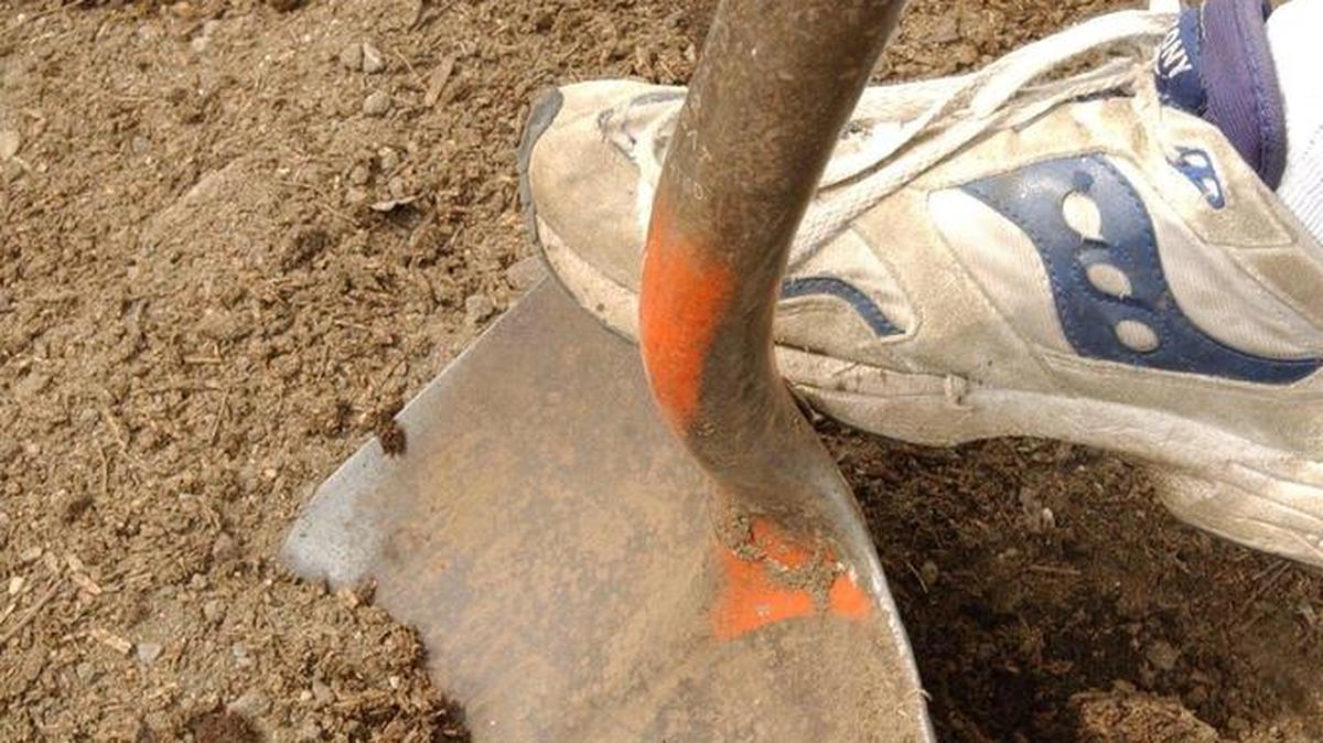 Selecting and using a garden shovel is more complicated than one may think.