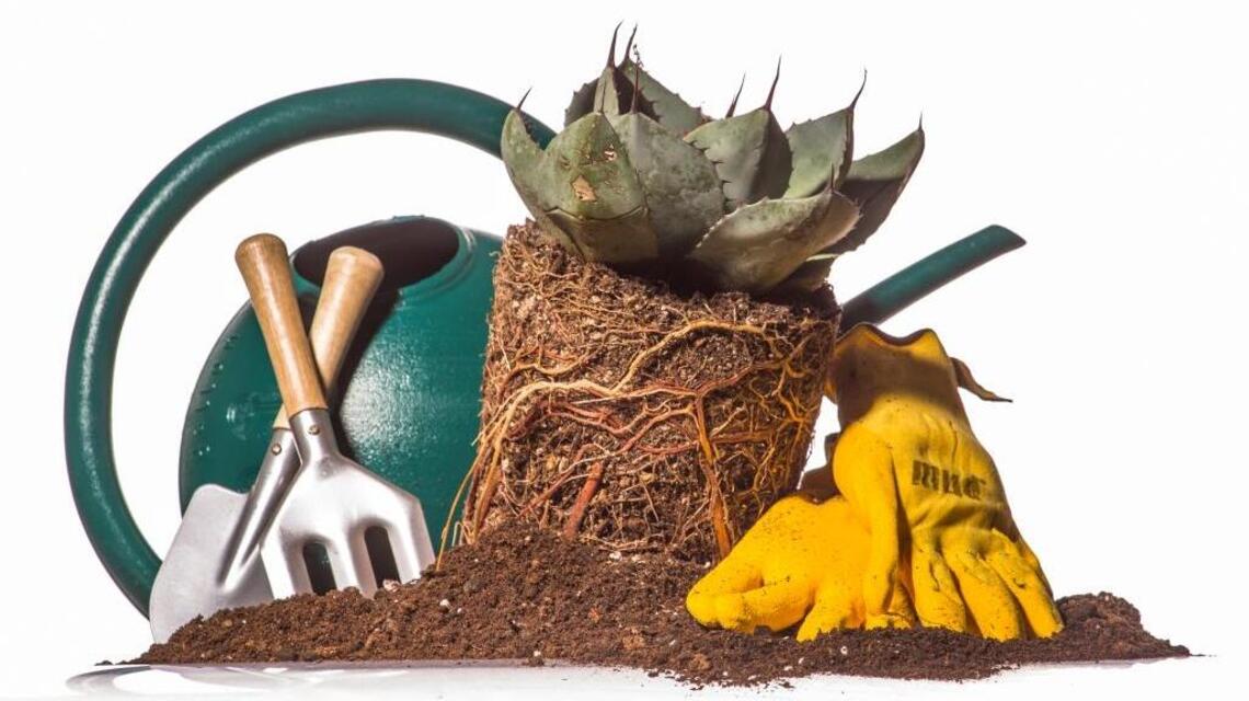 Garden Tips: Tools that make gardening easier
