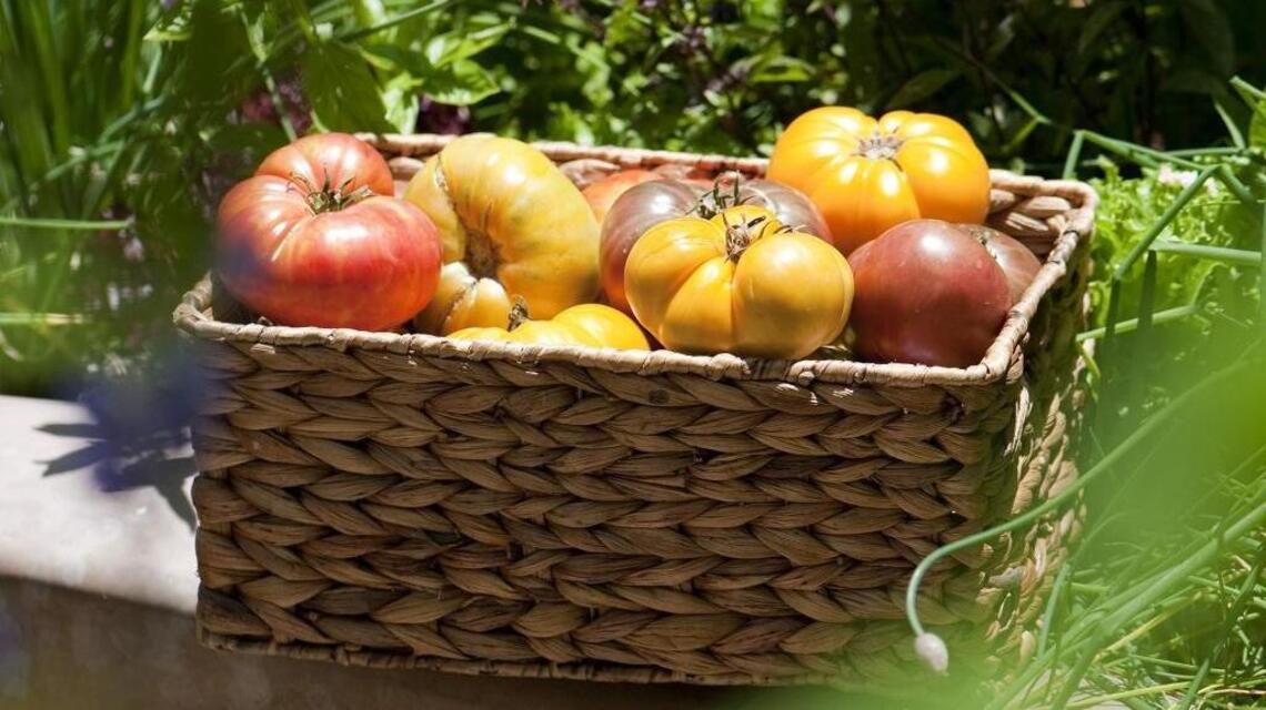 Garden Tips: Varieties, cultivars and hybrids — what does it all mean?