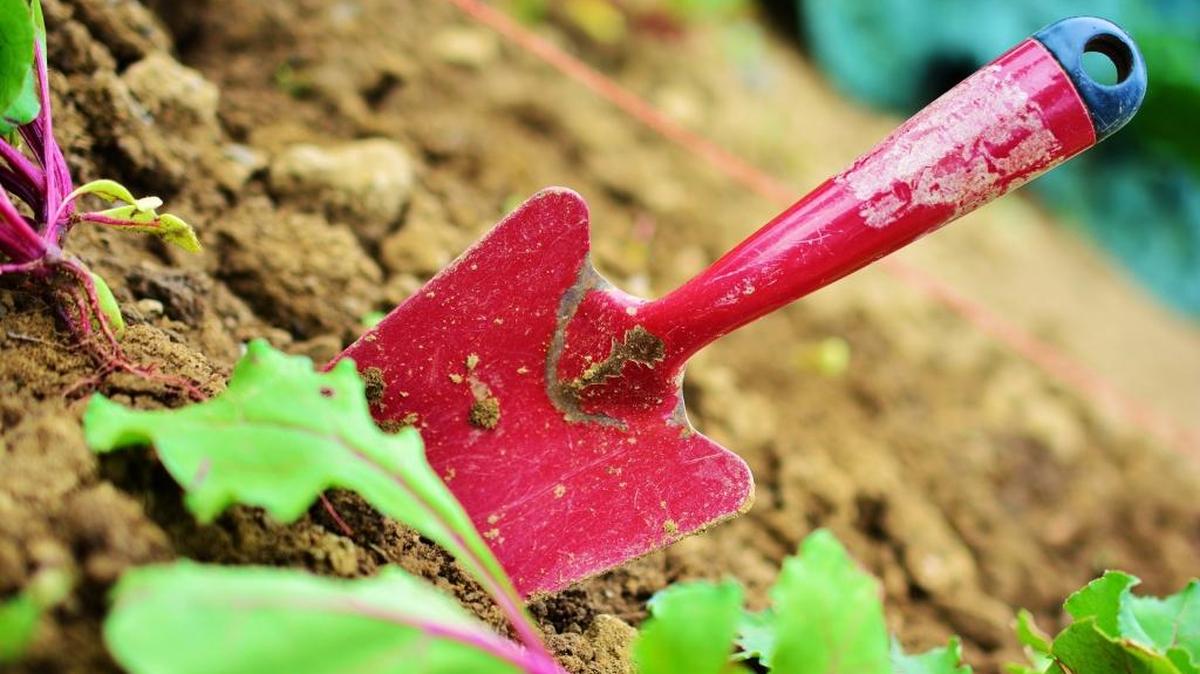 Before using a wetting agent to help with those dry spots in the garden or lawn, investigate why the sprinklers are hitting all the right places.