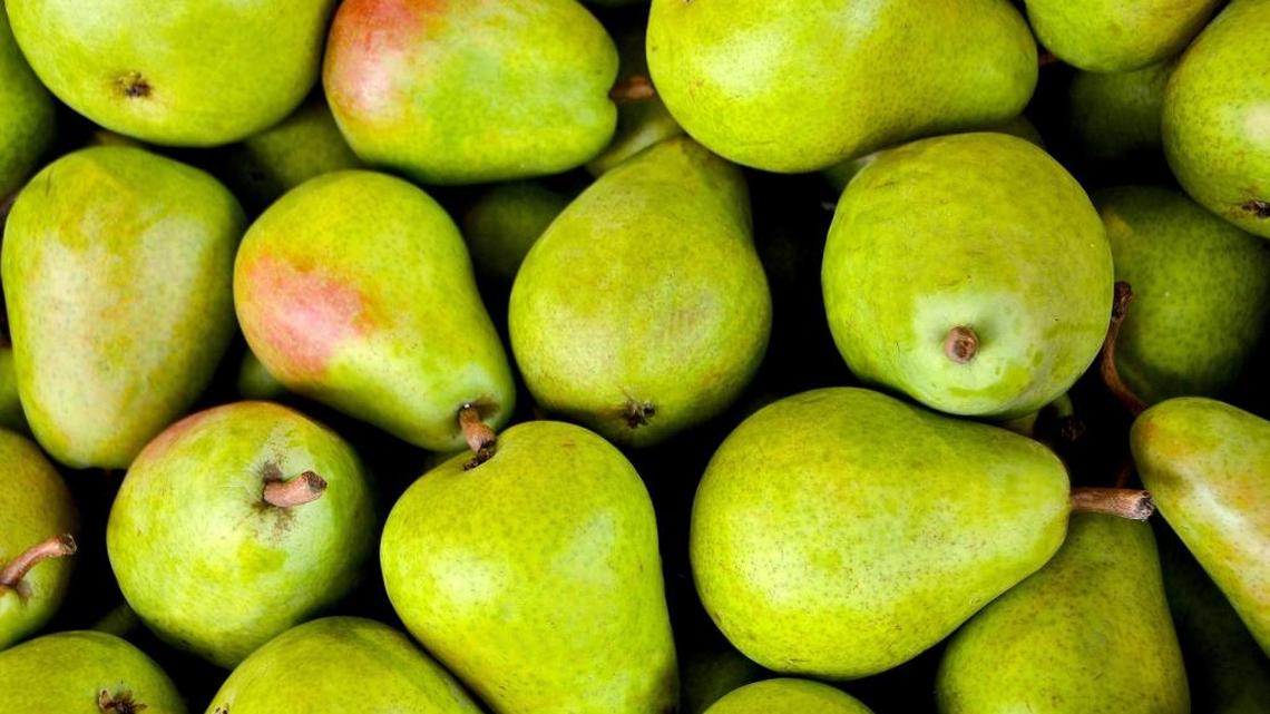 Garden Tips: Washington pears a tasty fall treat