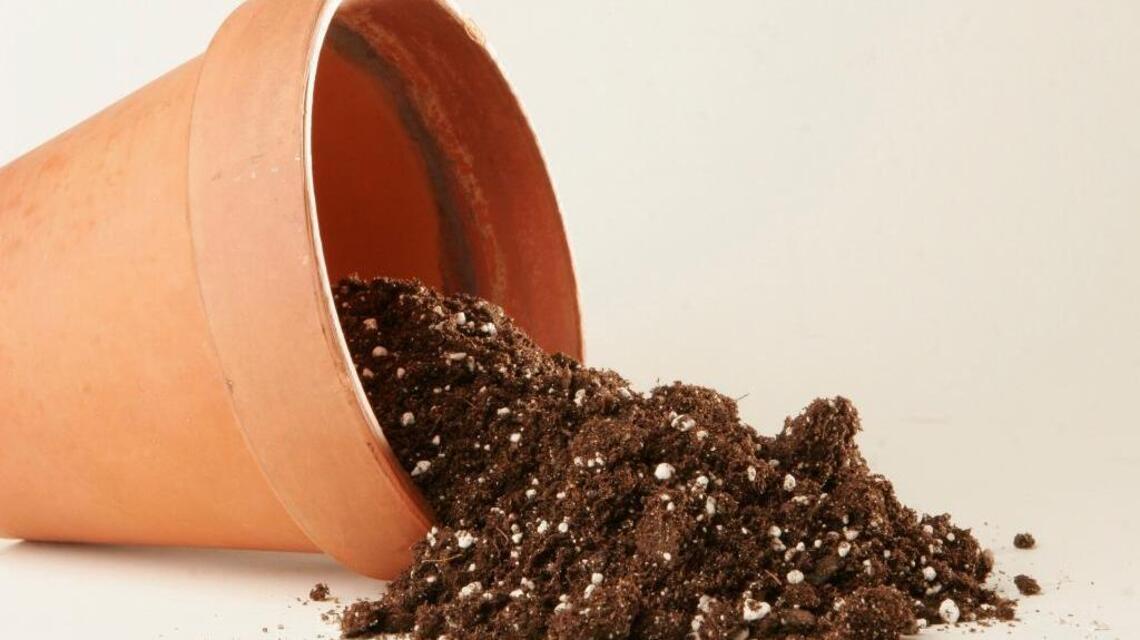 Garden Tips: You get what you pay for in a potting mix