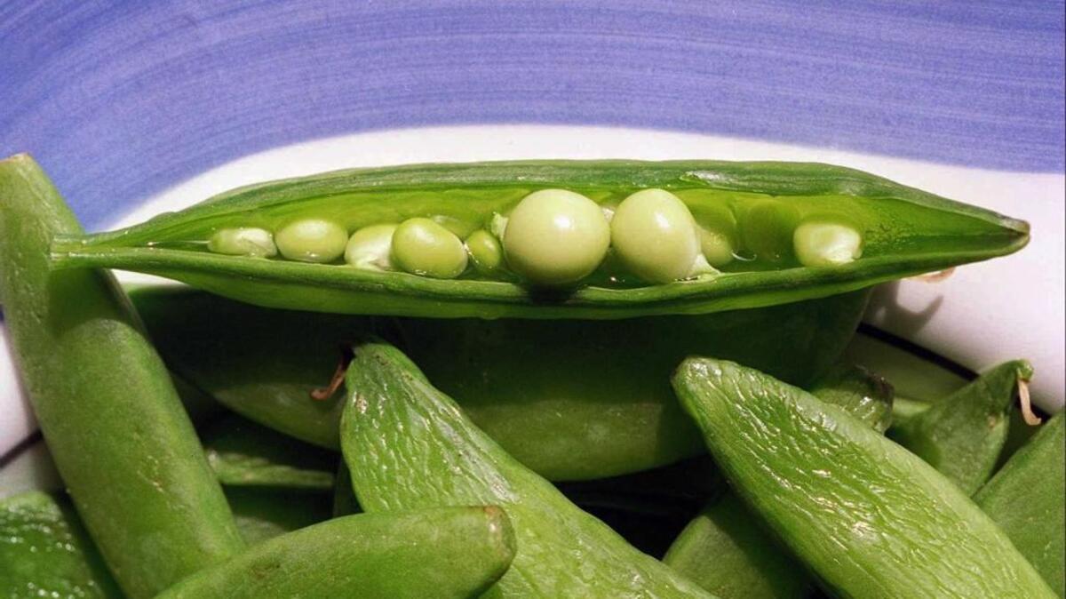Peas are one of the first crops that gardeners plant in early spring.