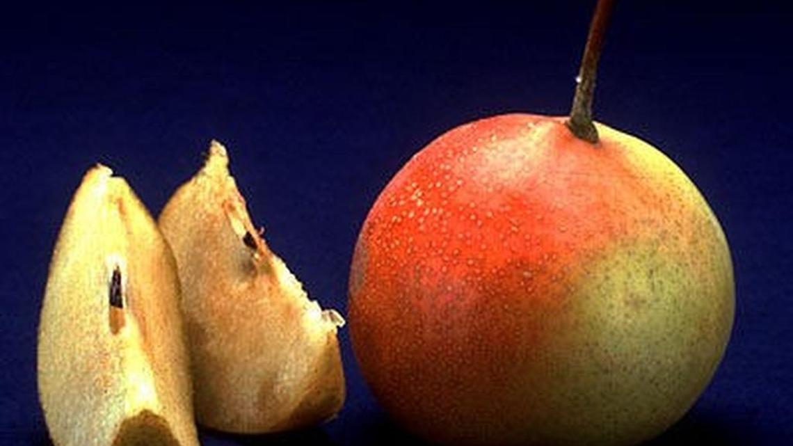 Garden Tips: These new fruits have uncommon flavors