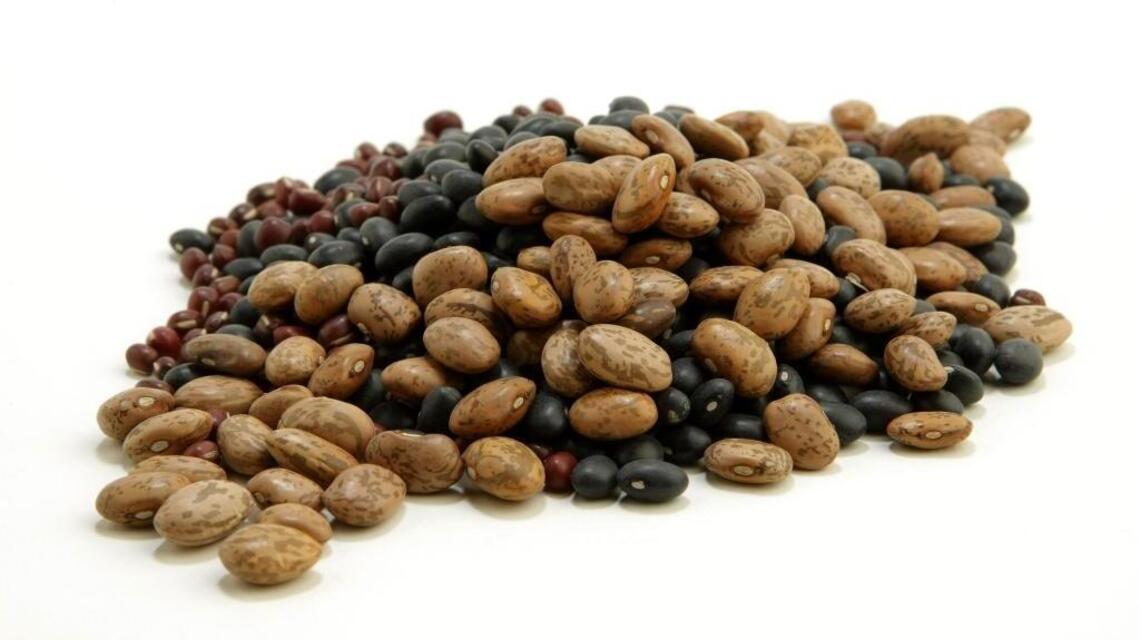 Garden Tips: Grow, eat your own dry beans