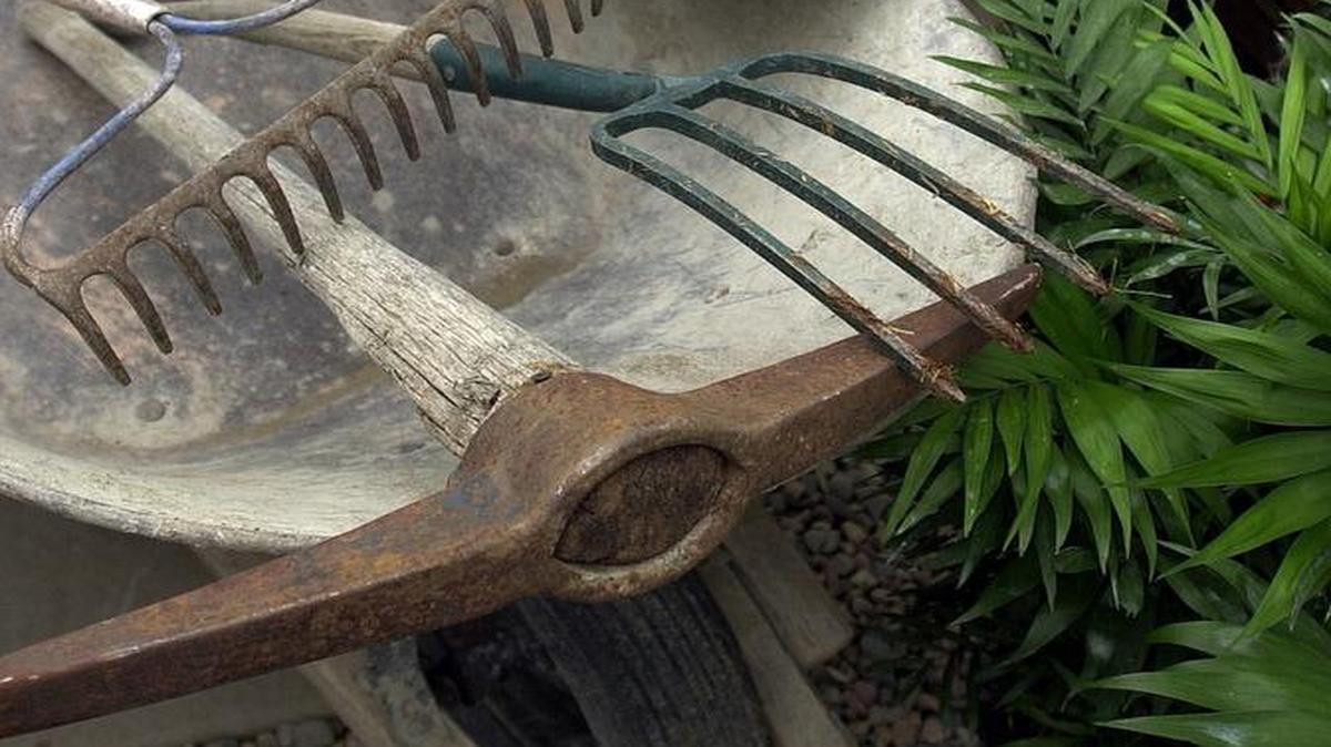 Whether in the shed or lost among the leaves, tools probably need cleaning and sharpening. Sharpen tools with a file or take them to a professional.
