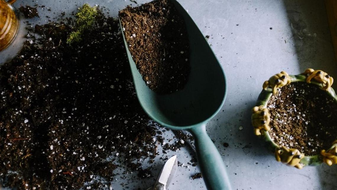 Garden Tips: Potting soil can be a fire hazard
