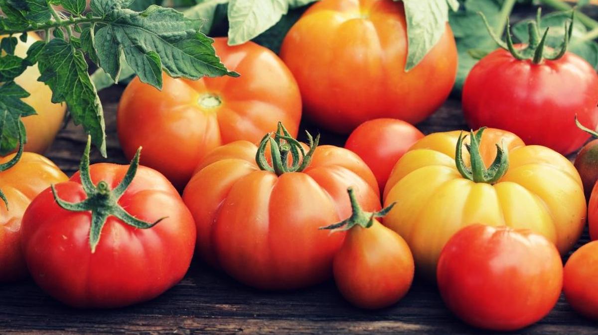 Want to grow fresh, colorful, ripe tomatoes like this? Start by ordering good seeds.