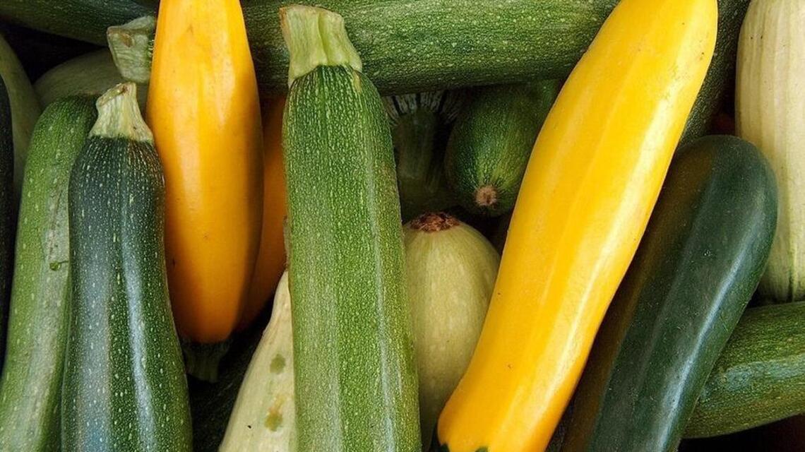 Garden Tips: Harvest vegetables at the right time