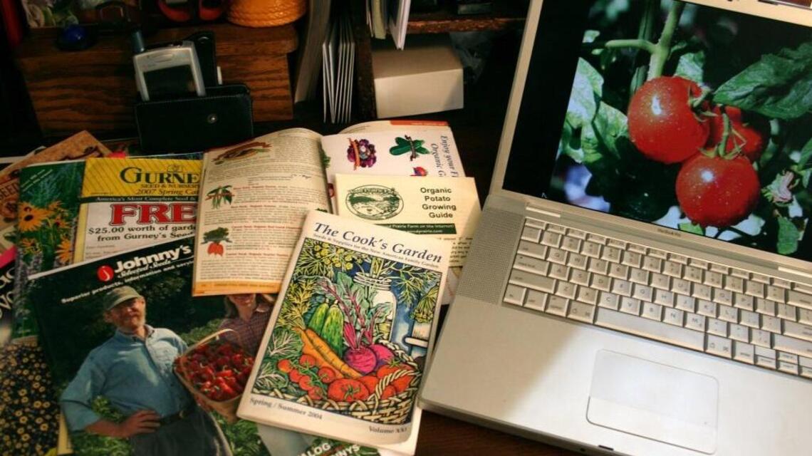 Garden Tips: New vegetable varieties to consider when planning garden