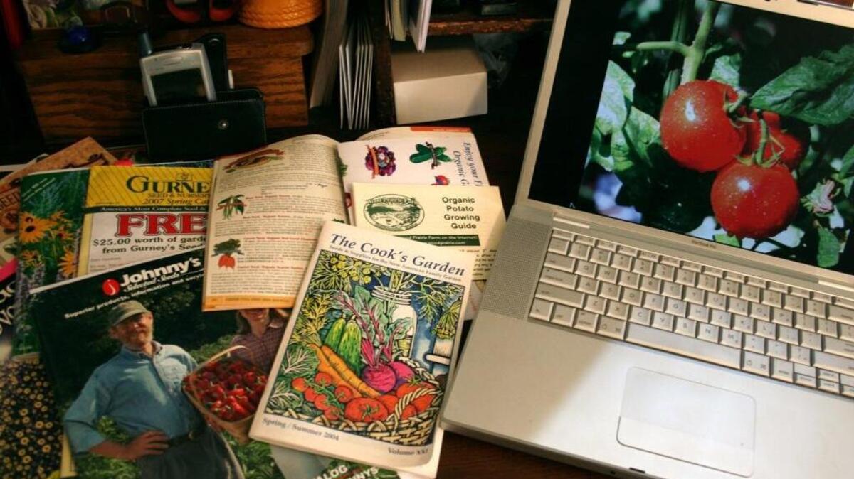 Seed catalogs like these are increasingly used by growers for making their selections during the winter months.