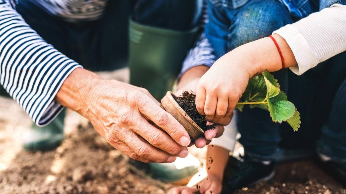 Gardening is a pasttime that can be shared through the generations