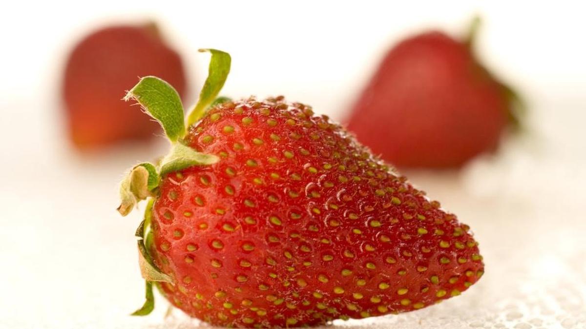 Millennial gardeners are growing fruit and vegetables in raised beds or containers. There are new varieties to look for during the next few years.