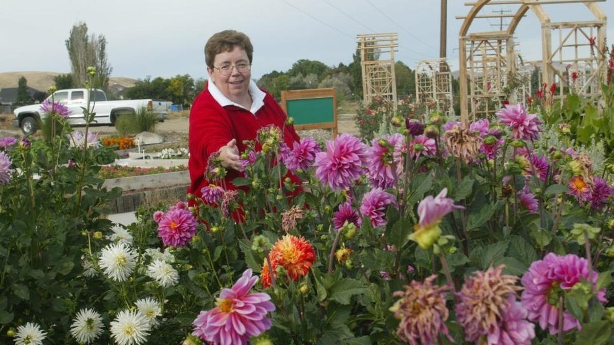 Marianne Ophardt and a dahlia garden in 2002. After 30 years of advising Mid-Columbia gardeners with the perils and payoff of growing in this area, Ophardt is ending her popular column.