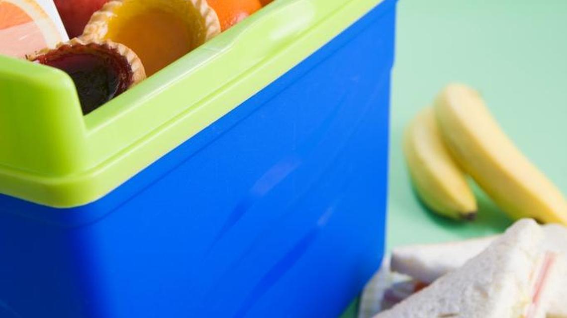 WSU Extension Q&A: Use a cooler to keep foods colder during long trips