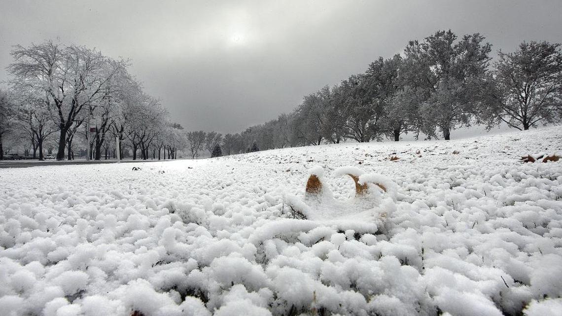 WSU Extension Q&A: When the ground freezes, why don’t the plant’s roots freeze?