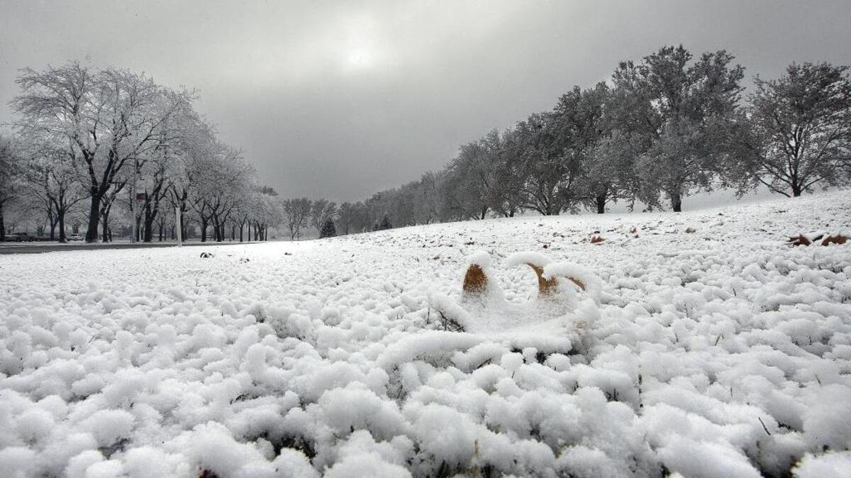In winter, deeper soil profiles are less susceptible to temperature changes than surface soil which is why roots of plants do not freeze.