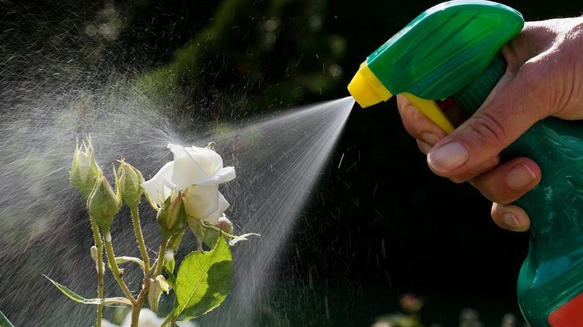 Older insecticides were effective against many types of insects and other arthropods, and persisted in the environment for a long time. The newer insecticides are effective against a few or one type of insect or arthropod, and they degrade quickly.