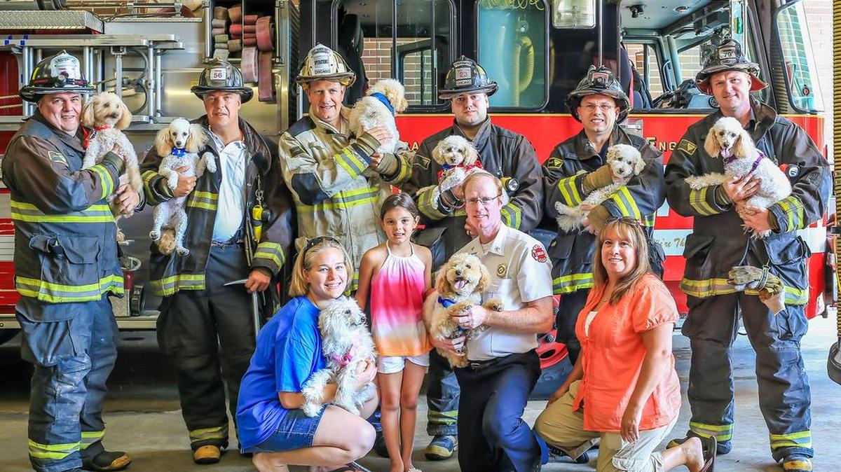 The eight dogs that survived a fire in a hoarder’s house are reunited with the Chicago firefighters from Station 79 and others who helped save them.