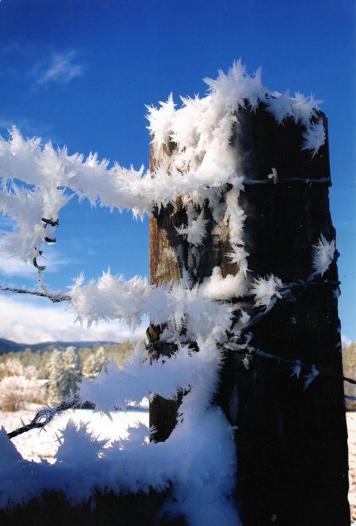 Hoarfrost shimmered on everything the February 2012 morning Jack Jennings experienced what he calls his “burning bush” moment.