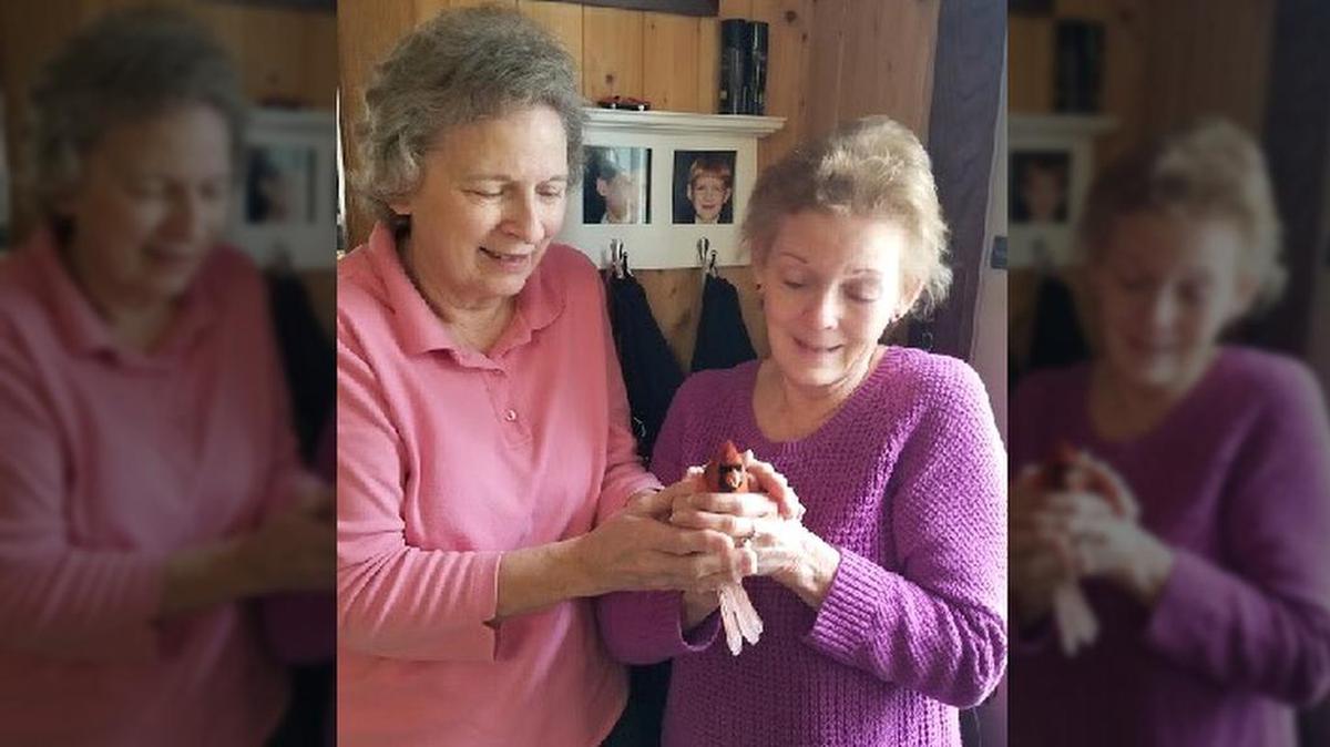 Jeanne Wright and Deborah Patteson hold a red cardinal that came to the window of Deborah’s home the day after their mother’s funeral. Before she died, the daughters had asked their mom to send the red bird as a sign from heaven.