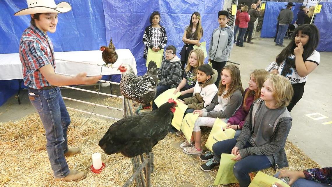 1,300 students expected to attend annual Farm Fair in Kennewick
