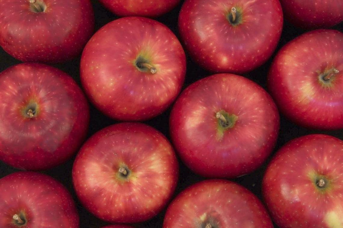 The newest Washington State University apple variety is the Cosmic Crisp.