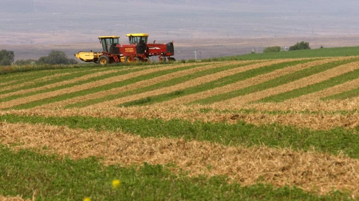 Harvesting equipment sits idle in a partially cut alfalfa field on Alder Road about a mile west of Taylor Flats Road north of Pasco in this file photo.