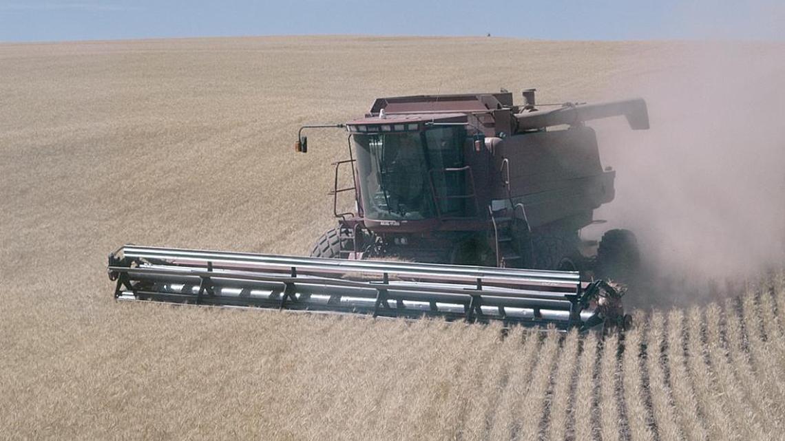 Wheat harvest links Oregon farmers to flour mills of Asia