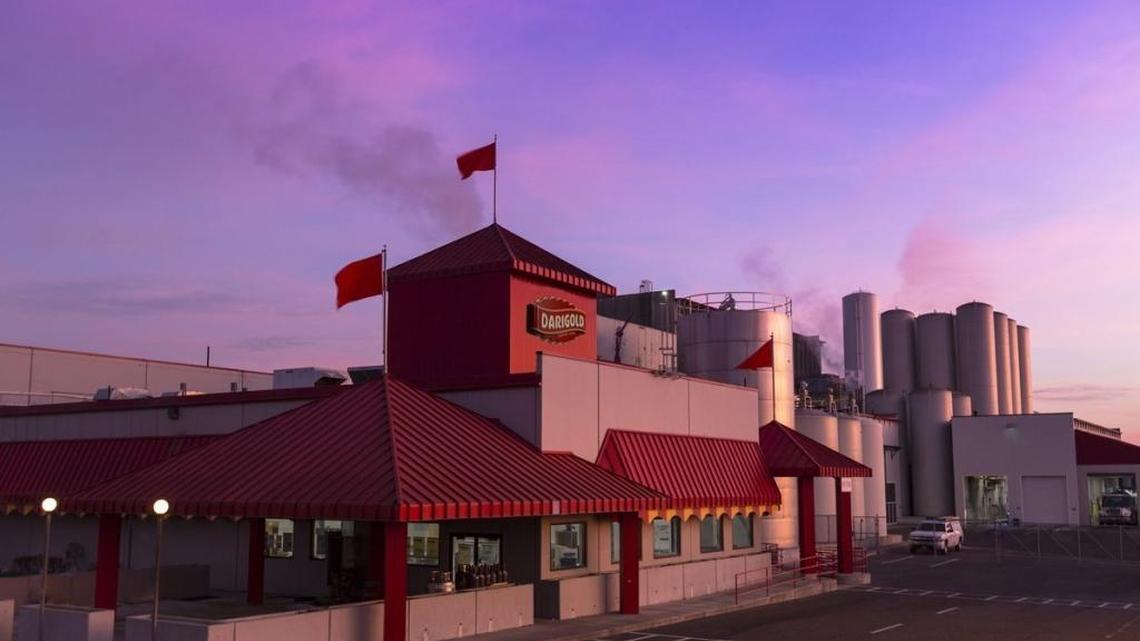 Darigold to build $500 million Tri-Cities plant, creating 1,200 jobs