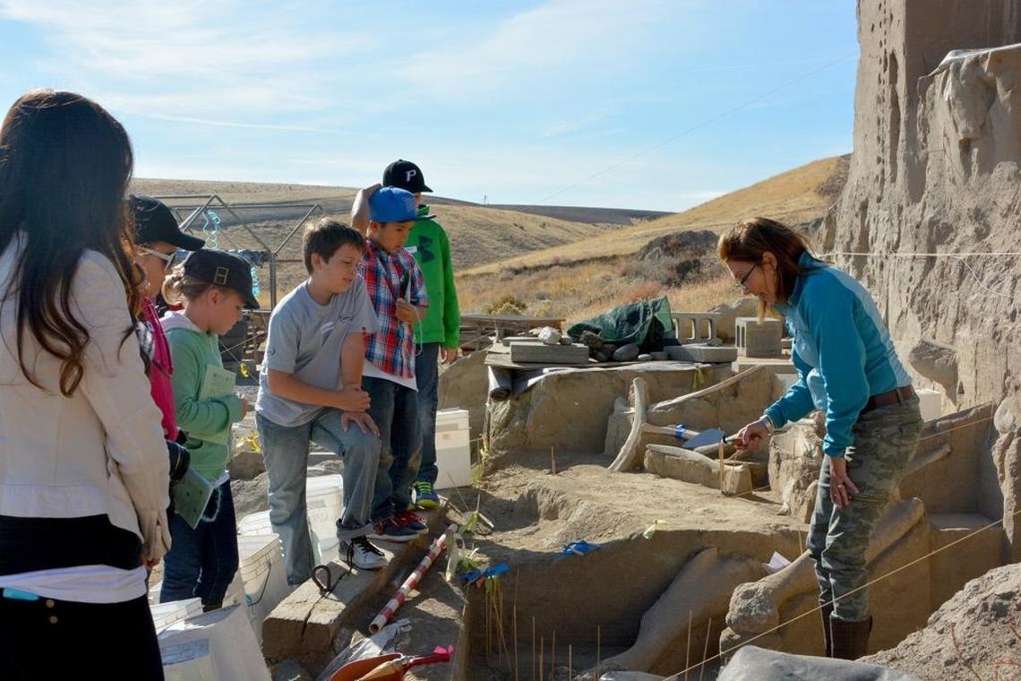 A Pasco School District class tours the site where ice age Columbian mammoth bones are being excavated near the Tri-Cities.