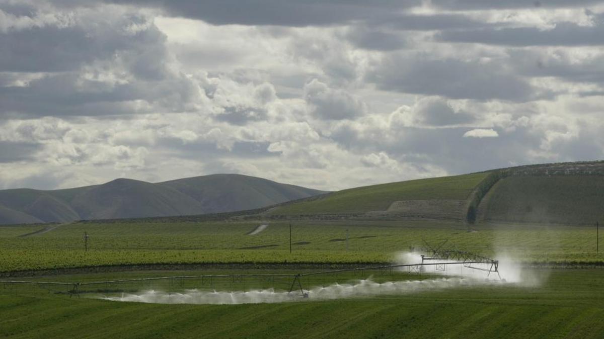 Irrigation districts are accepting nominating positions for open board seats to be filled in a Dec. 12 election.