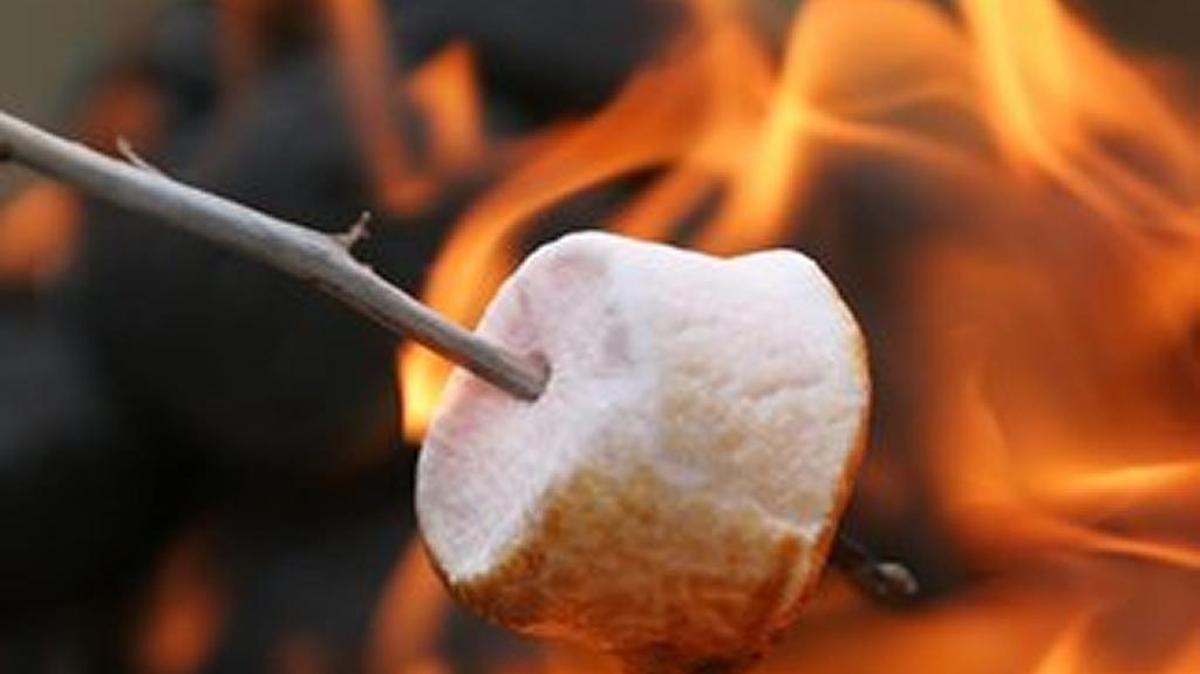 Campfire restrictions have been increased in the Umatila National Forest.