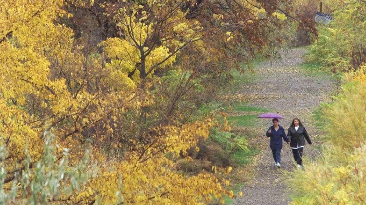 A mild October is forecast for the Tri-Cities with temperatures near or a little above normal.