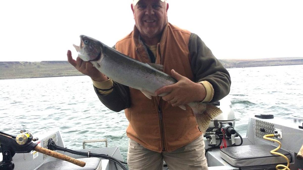 Tim Hilsen of Richland holds up a mint-bright steelhead caught trolling a Wiggle Wart in the McNary Dam forebay.
